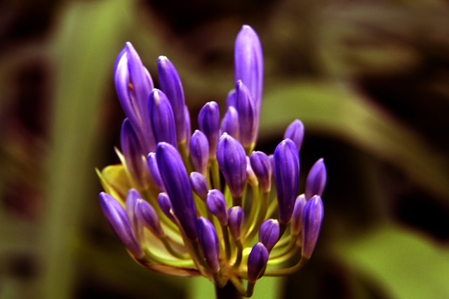 扳平比分的 扳平比分的