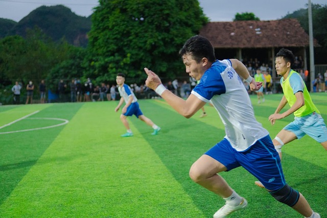 處在職業生 處在職業生