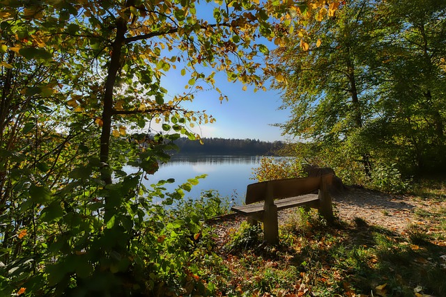 现的背后逻 现的背后逻