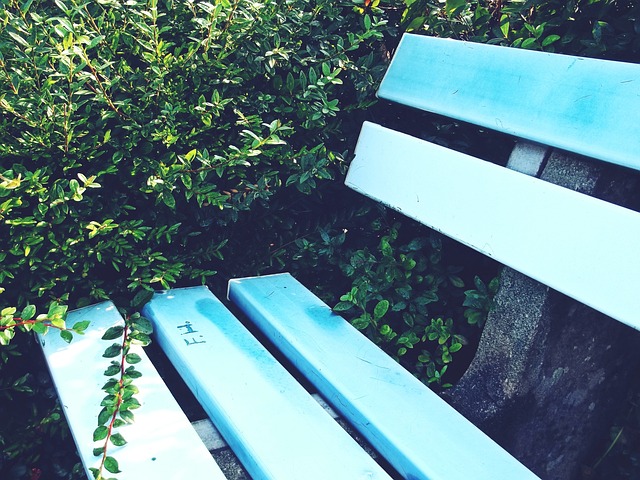 據張稀哲的 據張稀哲的